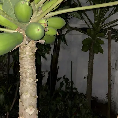 Chousa Casa de Férias Puntillo Del Sol