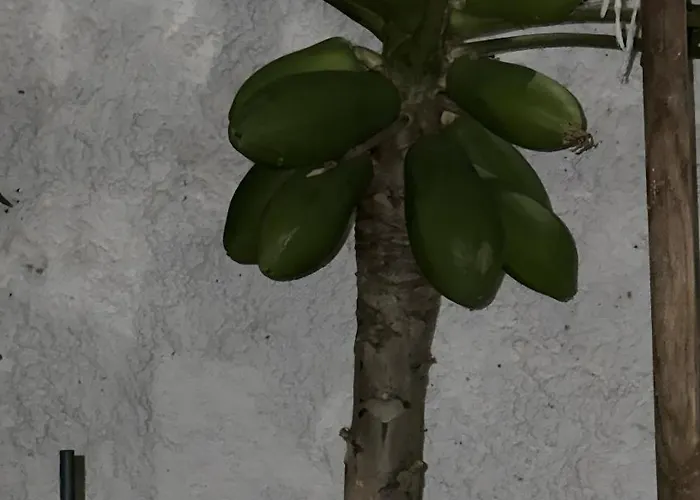 Chousa Semesterbostad *