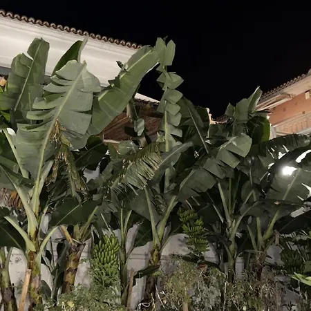 Vakantiehuis Chousa El Sauzal